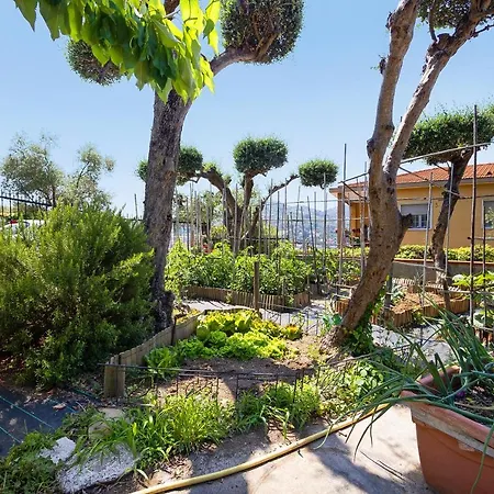 Ca Dei Tati -citr 1181 With Jacuzzi