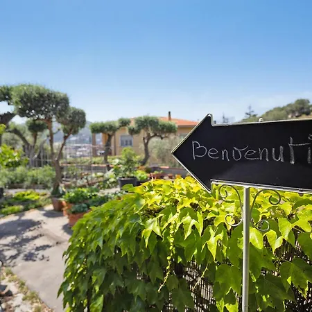 Ca Dei Tati -citr 1181 With Jacuzzi Appartement *