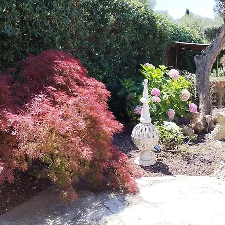 Apartman Ca Dei Tati -citr 1181 With Jacuzzi *