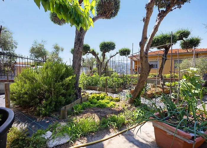 Ca Dei Tati -citr 1181 With Jacuzzi